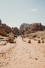 Jordan, desert landscape, ruins of petra, horse and desert, sand, stone, sun, perspective, landscape
