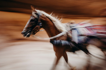 Jordan, desert landscape, ruins of petra, horse and desert, sand, stone, sun, perspective, landscape