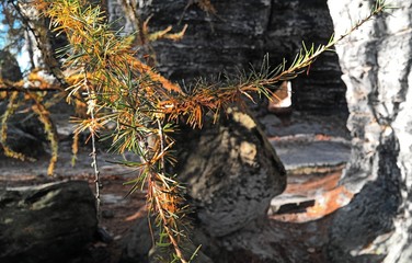 rocky path