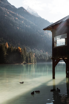Wooden house on stilts and ducks on nebulous lake with reflection of powerful Dolomites mountains at Italy