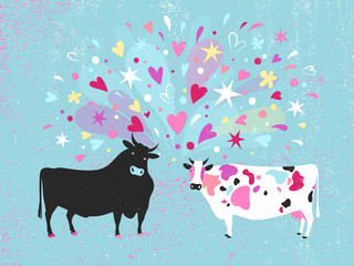 Vector illustration of a cow and a bull falling in love at first sight. Happy Valentine's day greeting card.
