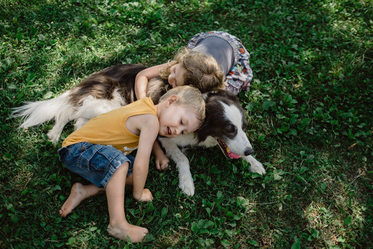 From above adorable children lying and embracing spot fluffy dog with ball in mouth in grass meadow in park 