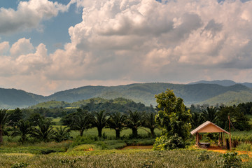 Green field and walkway in Thailand, Dramatic backdrop of Mountain and blue sky with clouds.