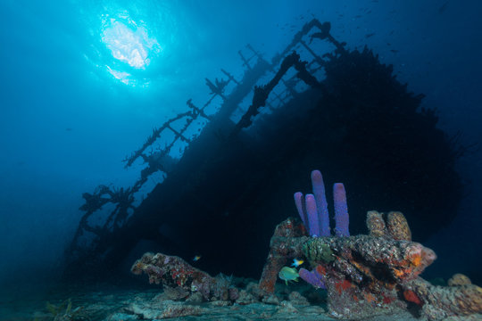 Old wreck ship on underwater bottom of coral reef with tropical fish