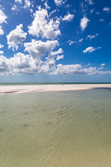 Fototapeta premium The beach at Honeymoon Island, near Tampa