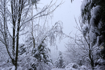 Saint-Etienne sous la neige, Loire