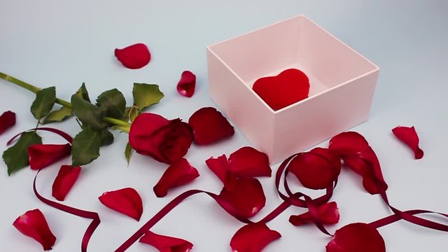 Red rose and rose petals on a light background ... Valentine's day, love concept. Men's hands open a white box. red heart in a box