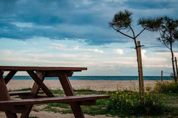Bench in the beach