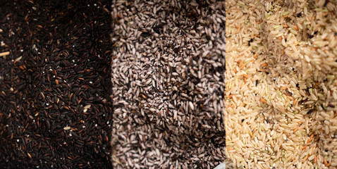 Closeup Brown rice, Black rice, and Rice berry