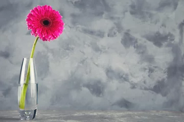 Tuinposter Glass vase with gerbera flower on grey background © 5second