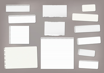 Set of torn white lined note, notebook paper strips and pieces stuck on dark brown background. Vector illustration
