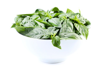 Green basil leafs in bowl isolated on white background