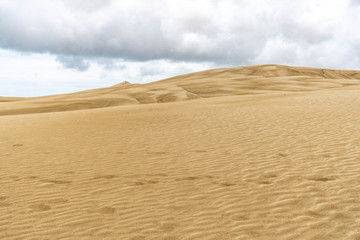 Fototapeta na wymiar Giant Sand Dunes, New Zealand