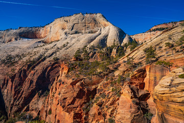 Carved Sandstone in the West Zion Wilderness