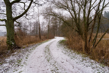 Pochmurny i mglisty dzień w Dolinie Supraśli. Puszcza Knyszyńska, Podlasie, Polska