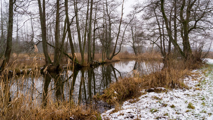 Pochmurny i mglisty dzień w Dolinie Supraśli. Puszcza Knyszyńska, Podlasie, Polska © podlaski49