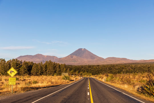 New Zealand, North Island, Kiwi bird crossing road sign by State Highway 48 with Mount?Ngauruhoe?looming in background