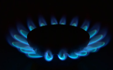 Burning blue gas on a black background
