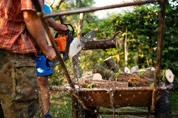 Chainsaw. Close-up of woodcutter sawing chainsaw in motion, sawdust fly to sides. Concept is to bring down trees. Chainsaw in action cutting wood. Man cutting wood with saw, dust and movements.Old man