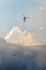 Fototapeta na wymiar Wyoming Wildfire 4