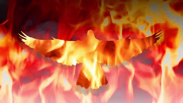 Rise like a phoenix concept. Looped animation background of flying bird flame silhouette of eagle or dove taking off from fire. Never give up and survive. Getting success in business or relations