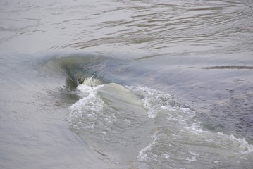 Wildes Wasser