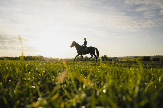 Woman riding horse on a field in the countryside at sunset