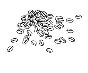 Coffee beans in line art style.