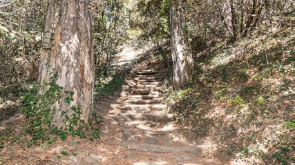 Stairways in forest of Cyprus, close to Mountain Troodos, Cyprus