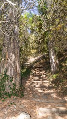 Stairways in forest of Cyprus, close to Mountain Troodos, Cyprus