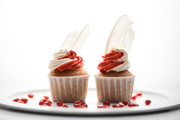 two cupcakes with chocolate feathers on a white background. There is a place for an inscription or logo
