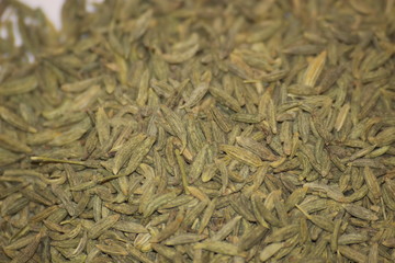 Green fresh fennel spice seeds  macro as background