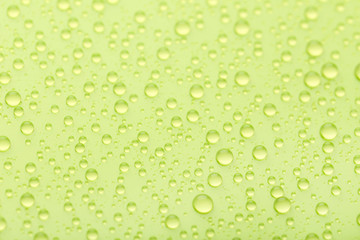 Water drops on green background