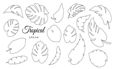 Tropical Leaves Vector Collection