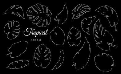 Tropical Leaves Vector Collection