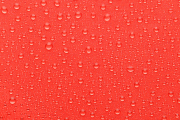 Water drops on red background