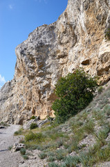 The rocky coast of the Black Sea. Cape Alchak in Sudak, Crimea