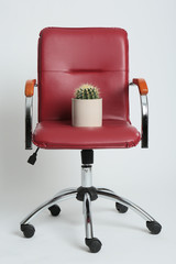 Red armchair with cactus on white background. Hemorrhoids concept