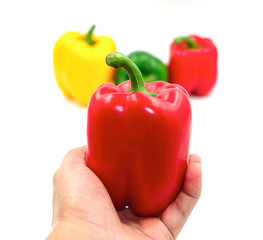 left hand holding fresh red and group green yellow red sweet peeper or bell pepper vegetable background. Isolated on white