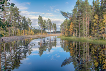 Autumn Colors