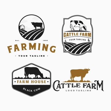 cattle farm and cow logo, icon and template