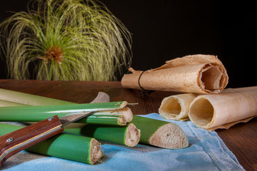 The making of papyrus paper: stems of papyrus plant and the typical knife with finished rolled up sheets  - 315431150
