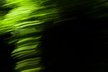 Bright background. Bright green lines on a black background. Blurred camera