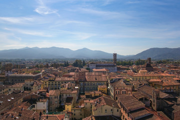 Fototapeta na wymiar View over Lucca from the Torre Guinigi in Italy