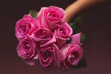 Beautiful bouquet of pink roses in hand on a dark background. Gift for Valentine's Day, Women's day, wedding