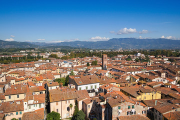 View over Lucca from the Torre Guinigi in Italy