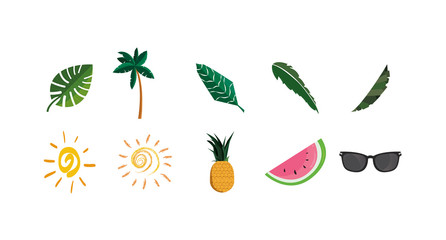 Isolated summer icon set vector design
