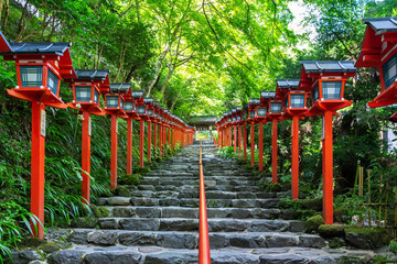 Fototapeta na wymiar The red traditional light pole at Kifune shrine, Kyoto in Japan.