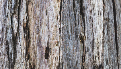 old wood texture