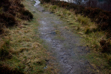 Muddy Path